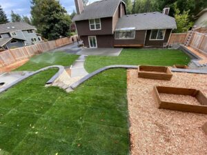 irrigation