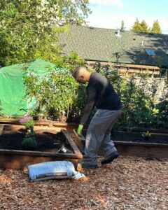 SOD Services