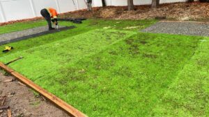 sod services
